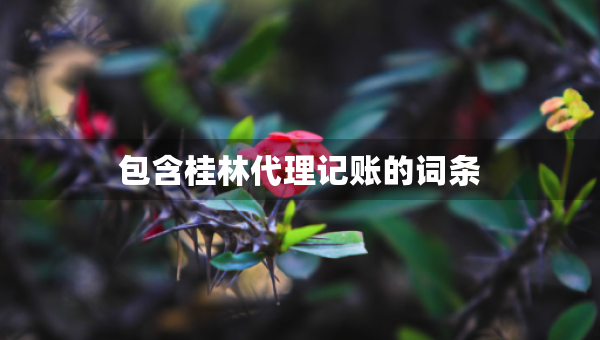 包含桂林代理記賬的詞條