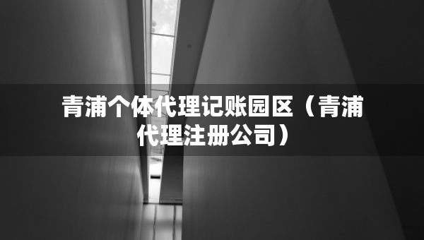 青浦個體代理記賬園區(qū)（青浦代理注冊公司）