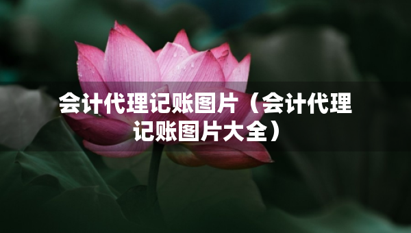 會(huì)計(jì)代理記賬圖片（會(huì)計(jì)代理記賬圖片大全）