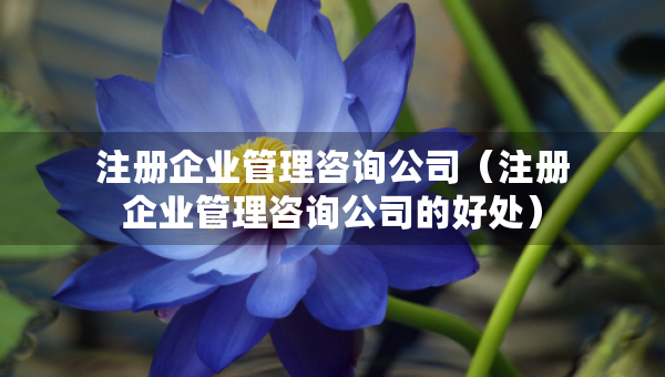 注冊(cè)企業(yè)管理咨詢(xún)公司（注冊(cè)企業(yè)管理咨詢(xún)公司的好處）