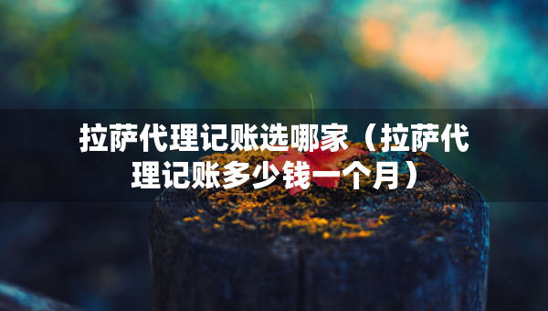 拉薩代理記賬選哪家（拉薩代理記賬多少錢一個月）
