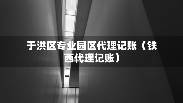 于洪區(qū)專業(yè)園區(qū)代理記賬（鐵西代理記賬）