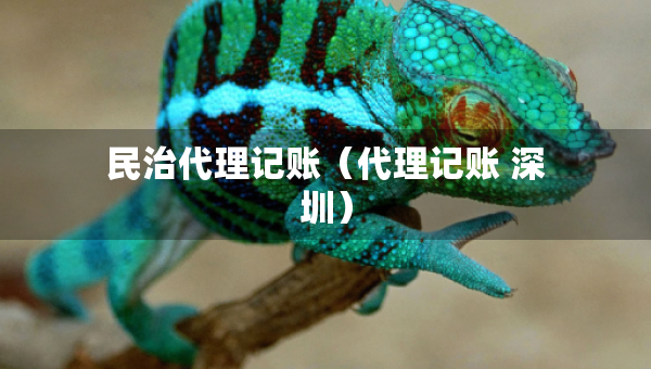 民治代理記賬（代理記賬 深圳）