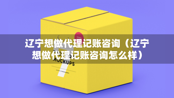 遼寧想做代理記賬咨詢（遼寧想做代理記賬咨詢怎么樣）