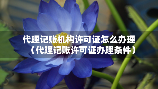 代理記賬機(jī)構(gòu)許可證怎么辦理（代理記賬許可證辦理?xiàng)l件）