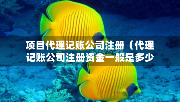 項目代理記賬公司注冊（代理記賬公司注冊資金一般是多少）