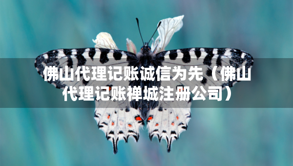 佛山代理記賬誠(chéng)信為先（佛山代理記賬禪城注冊(cè)公司）