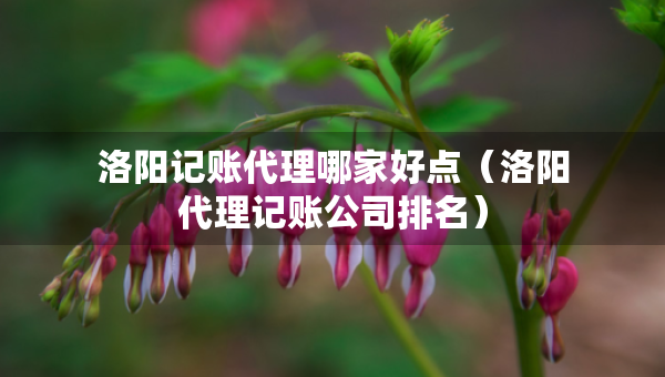 洛陽記賬代理哪家好點(diǎn)（洛陽代理記賬公司排名）