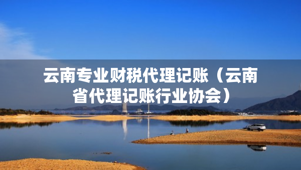 云南專業(yè)財稅代理記賬（云南省代理記賬行業(yè)協(xié)會）