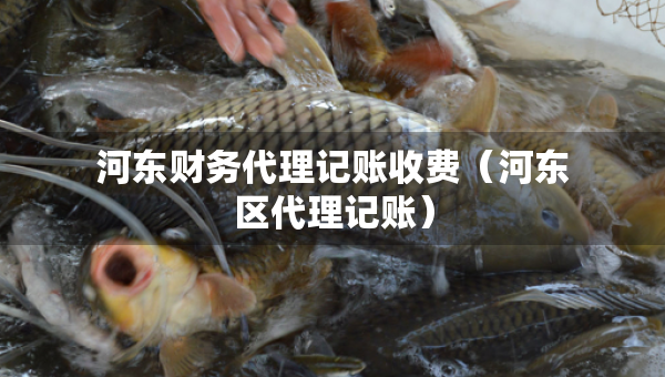 河?xùn)|財(cái)務(wù)代理記賬收費(fèi)（河?xùn)|區(qū)代理記賬）