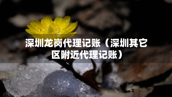 深圳龍崗代理記賬（深圳其它區(qū)附近代理記賬）