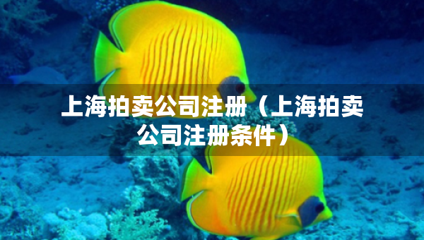 上海拍賣公司注冊（上海拍賣公司注冊條件）