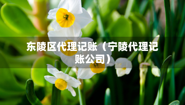 東陵區(qū)代理記賬（寧陵代理記賬公司）