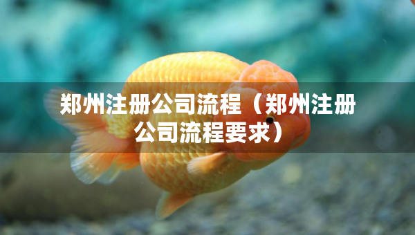 鄭州注冊(cè)公司流程（鄭州注冊(cè)公司流程要求）