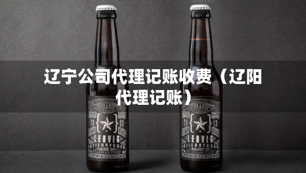 遼寧公司代理記賬收費(fèi)（遼陽(yáng)代理記賬）