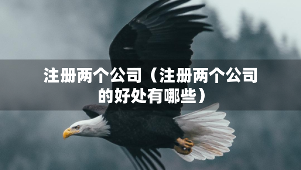 注冊兩個公司（注冊兩個公司的好處有哪些）