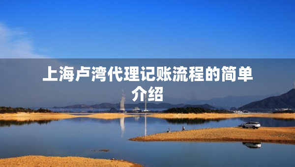 上海盧灣代理記賬流程的簡(jiǎn)單介紹