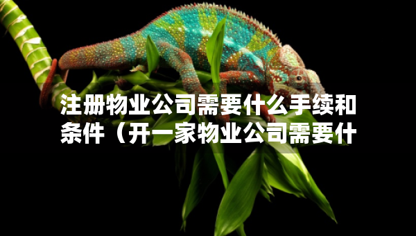 注冊物業(yè)公司需要什么手續(xù)和條件（開一家物業(yè)公司需要什么條件）