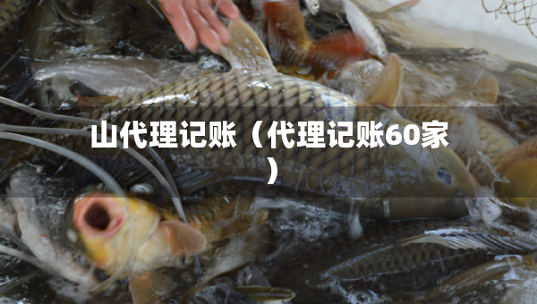 山代理記賬（代理記賬60家）