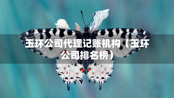 玉環(huán)公司代理記賬機(jī)構(gòu)（玉環(huán)公司排名榜）