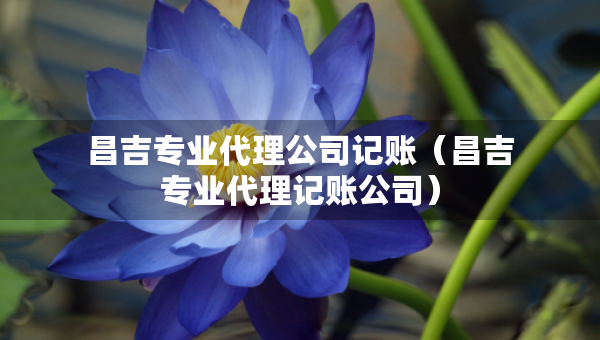 昌吉專業(yè)代理公司記賬（昌吉專業(yè)代理記賬公司）