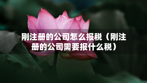 剛注冊(cè)的公司怎么報(bào)稅（剛注冊(cè)的公司需要報(bào)什么稅）