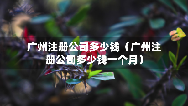 廣州注冊(cè)公司多少錢(qián)（廣州注冊(cè)公司多少錢(qián)一個(gè)月）