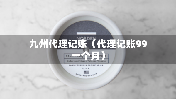 九州代理記賬（代理記賬99一個月）