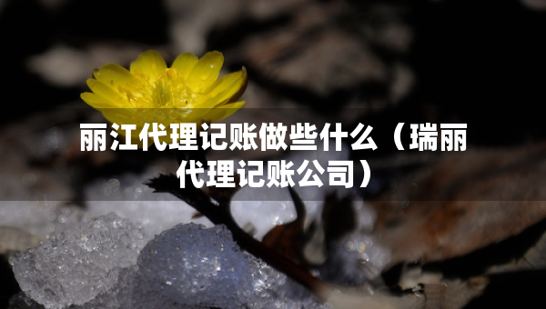 麗江代理記賬做些什么（瑞麗代理記賬公司）