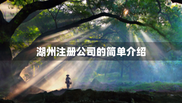 湖州注冊公司的簡單介紹