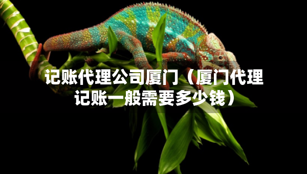 記賬代理公司廈門（廈門代理記賬一般需要多少錢）