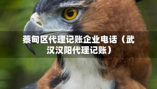 蔡甸區(qū)代理記賬企業(yè)電話（武漢漢陽代理記賬）