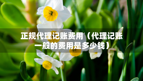 正規(guī)代理記賬費用（代理記賬一般的費用是多少錢）