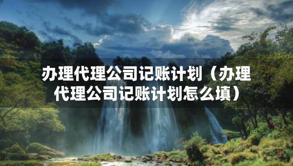 辦理代理公司記賬計(jì)劃（辦理代理公司記賬計(jì)劃怎么填）
