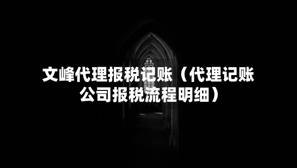 文峰代理報稅記賬（代理記賬公司報稅流程明細(xì)）