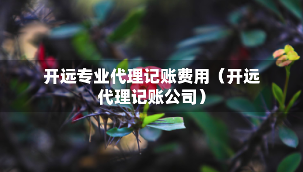 開遠(yuǎn)專業(yè)代理記賬費用（開遠(yuǎn)代理記賬公司）