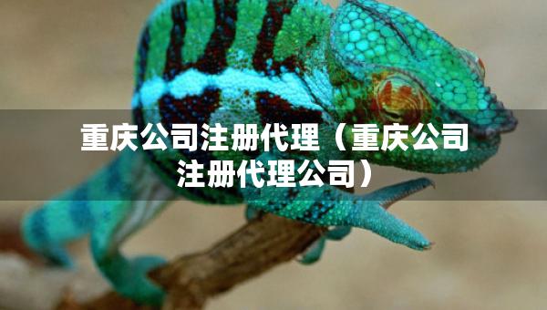 重慶公司注冊代理（重慶公司注冊代理公司）