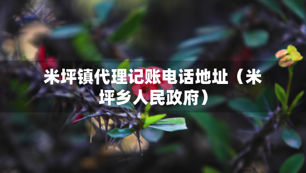 米坪鎮(zhèn)代理記賬電話地址（米坪鄉(xiāng)人民政府）
