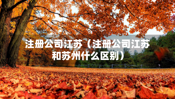 注冊公司江蘇（注冊公司江蘇和蘇州什么區(qū)別）