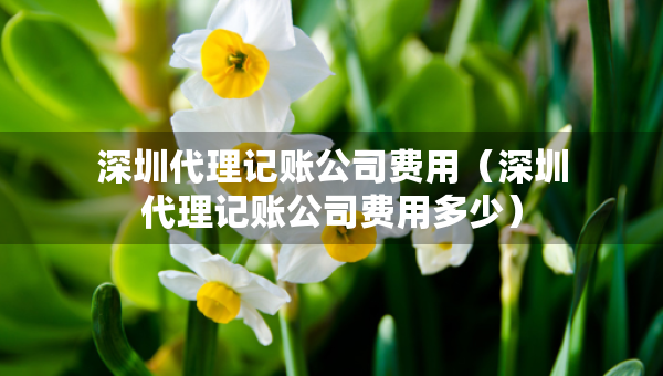 深圳代理記賬公司費(fèi)用（深圳代理記賬公司費(fèi)用多少）