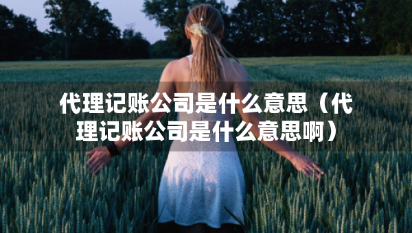 代理記賬公司是什么意思（代理記賬公司是什么意思?。? title=