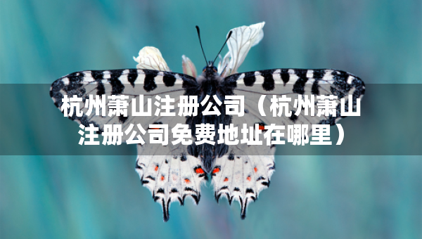 杭州蕭山注冊(cè)公司（杭州蕭山注冊(cè)公司免費(fèi)地址在哪里）
