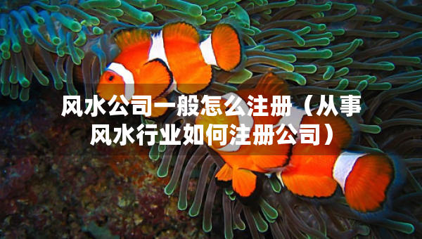 風(fēng)水公司一般怎么注冊（從事風(fēng)水行業(yè)如何注冊公司）