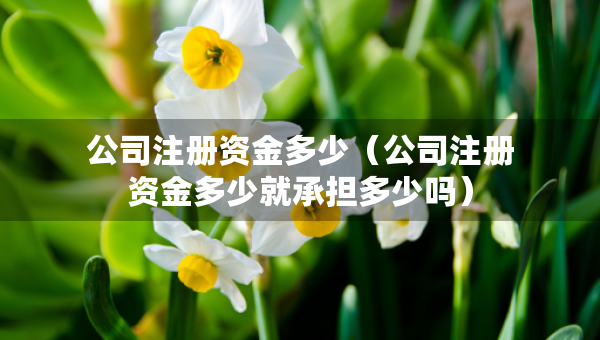 公司注冊資金多少（公司注冊資金多少就承擔(dān)多少嗎）