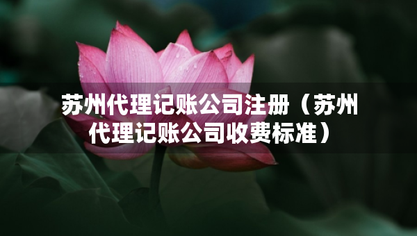 蘇州代理記賬公司注冊(cè)（蘇州代理記賬公司收費(fèi)標(biāo)準(zhǔn)）