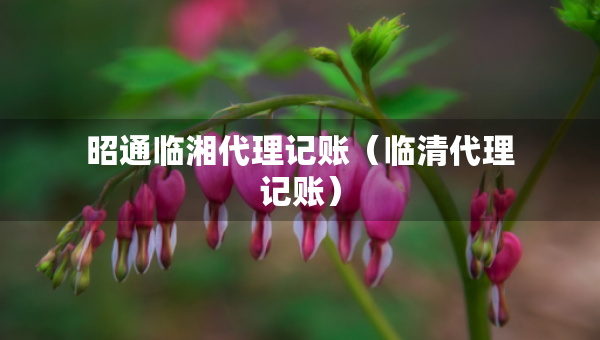 昭通臨湘代理記賬（臨清代理記賬）