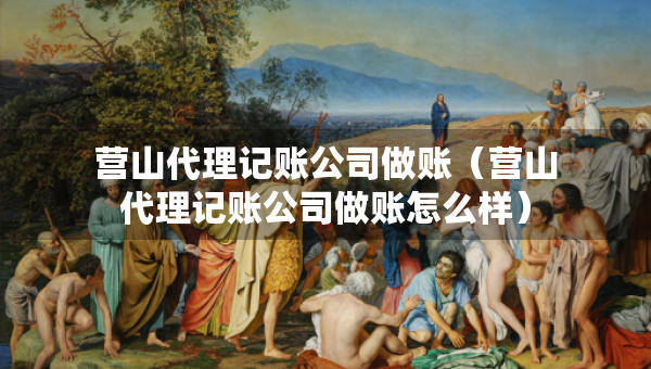 營山代理記賬公司做賬（營山代理記賬公司做賬怎么樣）
