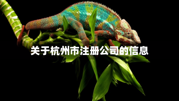 關(guān)于杭州市注冊公司的信息