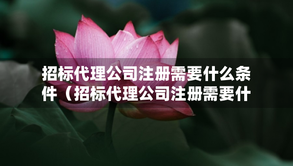 招標代理公司注冊需要什么條件（招標代理公司注冊需要什么條件和資料）