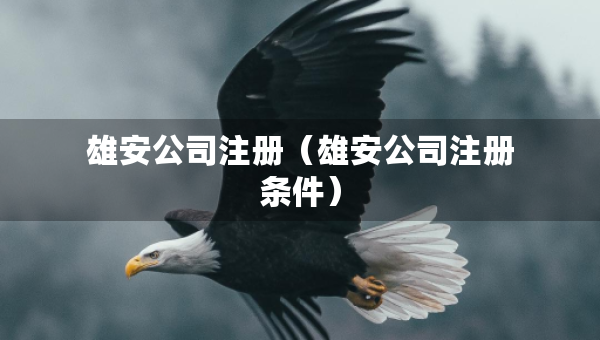 雄安公司注冊（雄安公司注冊條件）